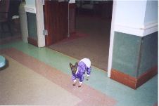 Enlarge photo 2