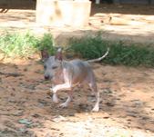 Enlarge photo 38