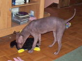 Enlarge photo 8