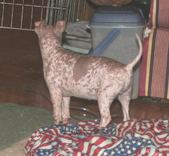 Enlarge photo 18