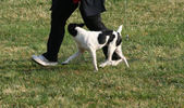 Enlarge photo 5