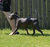 Monty