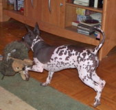 Enlarge photo 7