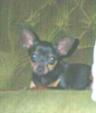 Enlarge photo 10
