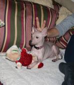 Enlarge photo 16