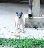 Enlarge photo 7