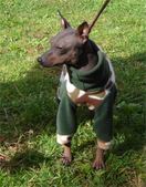 Enlarge photo 13