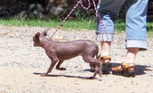 Enlarge photo 3
