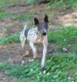 Enlarge photo 27
