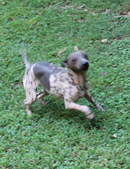 Enlarge photo 42