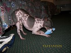 Enlarge photo 13