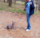 Enlarge photo 12