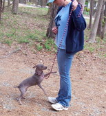 Enlarge photo 11