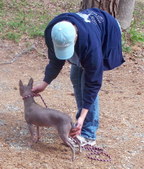 Enlarge photo 10