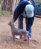 Enlarge photo 9