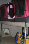 Enlarge photo 36