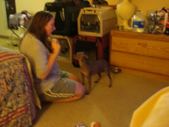 Enlarge photo 24