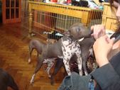 Enlarge photo 4