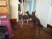 Enlarge photo 7