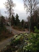 Enlarge photo 92