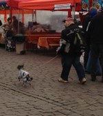 Enlarge photo 97
