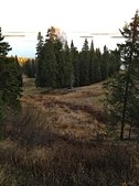 Enlarge photo 16