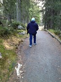Enlarge photo 18