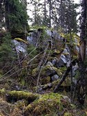 Enlarge photo 19