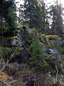 Enlarge photo 20