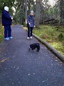 Enlarge photo 22