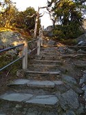 Enlarge photo 25