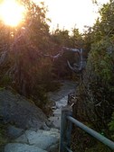 Enlarge photo 26