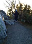 Enlarge photo 32