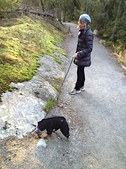 Enlarge photo 33