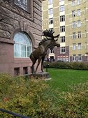 Enlarge photo 75