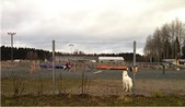 Enlarge photo 138