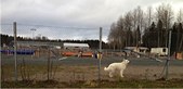 Enlarge photo 139