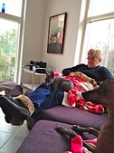 Enlarge photo 151