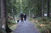 Enlarge photo 183