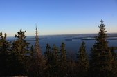 Enlarge photo 186