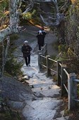 Enlarge photo 188