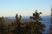 Enlarge photo 189