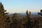 Enlarge photo 190
