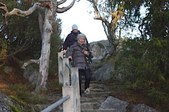 Enlarge photo 178
