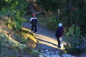 Enlarge photo 133