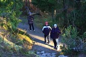 Enlarge photo 51