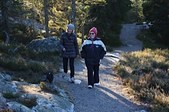 Enlarge photo 49