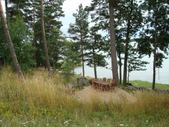 Enlarge photo 42