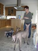 Enlarge photo 9