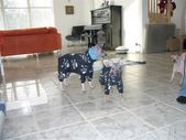 Enlarge photo 14